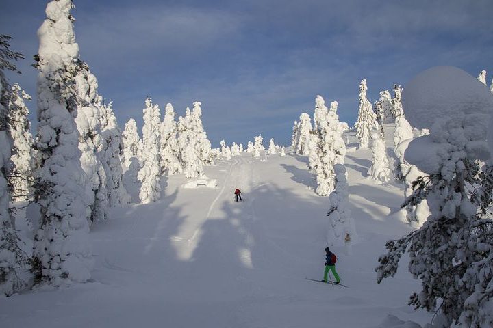 Nordics Skiing Nordics Skiing