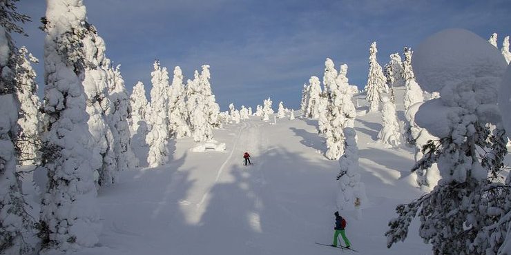 Nordics Skiing Nordics Skiing